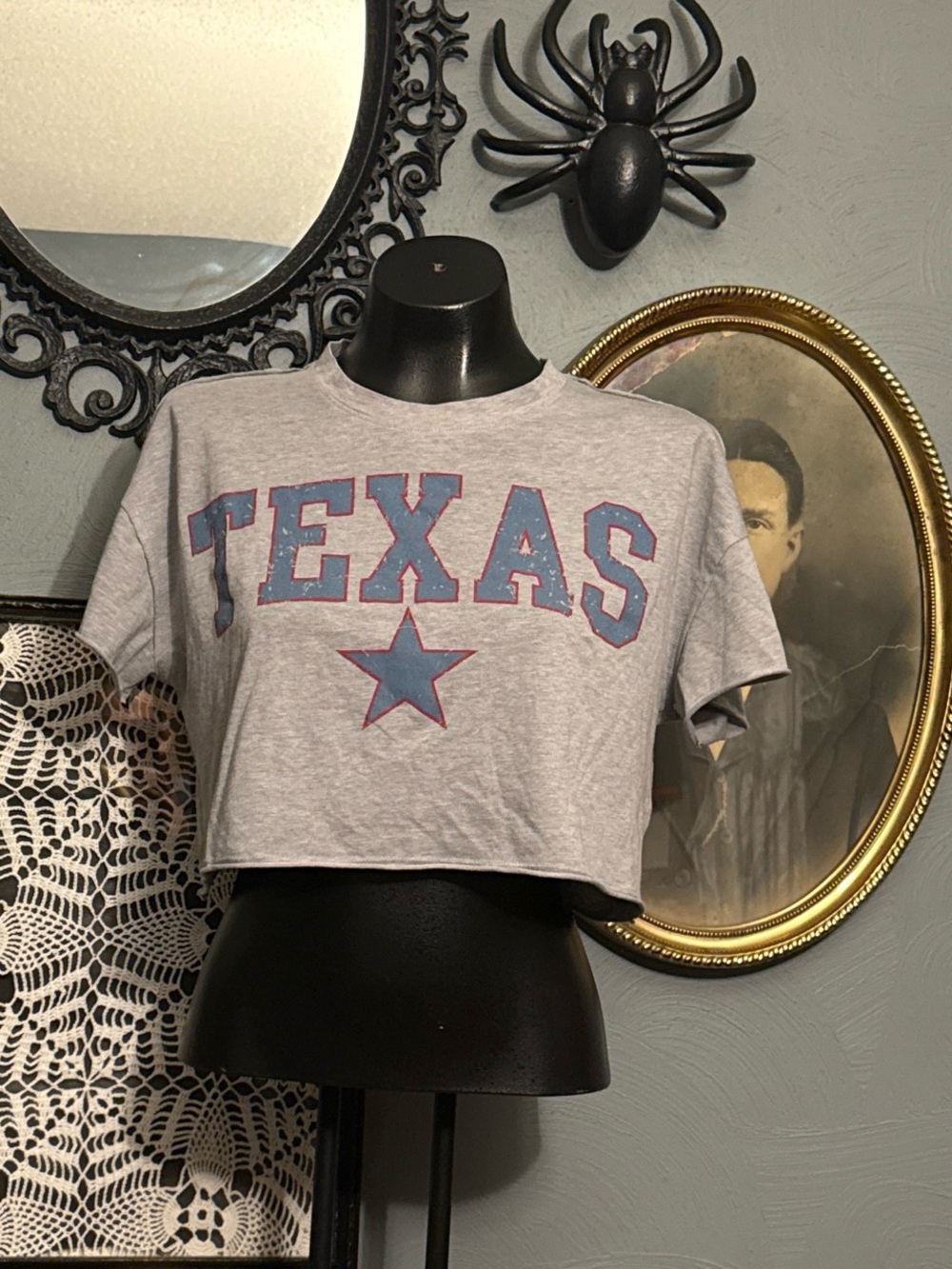 Social culture Gray Texas Graphic Cropped Tee